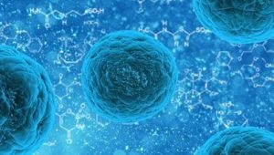 Kök Hücre Nedir? Kök Hücre Tedavisi Nasıl Yapılır?
